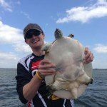 Lake Fork Giant Soft Shell Turtle