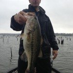 Lake Fork Picture | Big Bass Photo